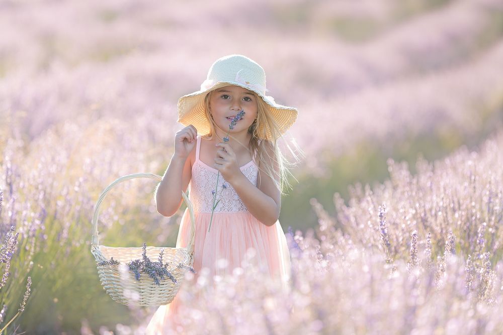 family photography girl standing in lavender field