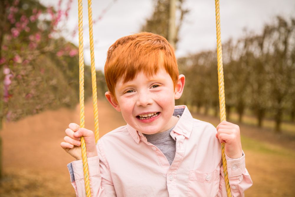 family photography boy on swing in orchard