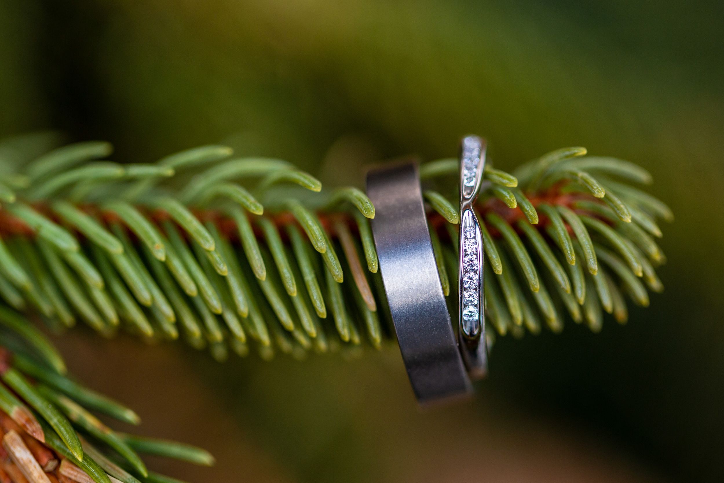 Wedding rings on Christmas tree branch