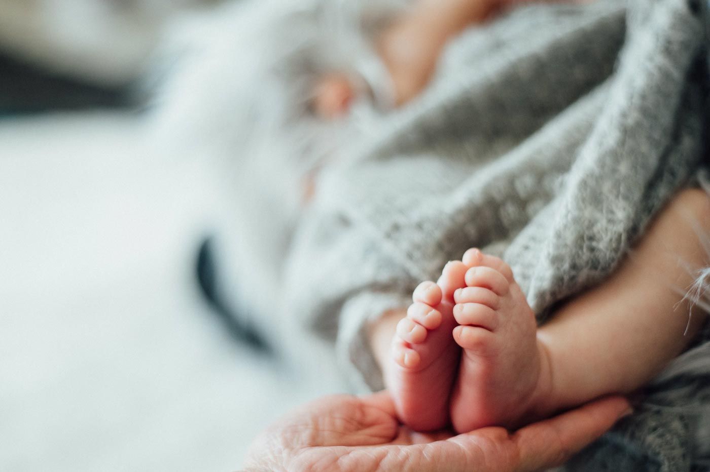 Newborn baby feet held by parent