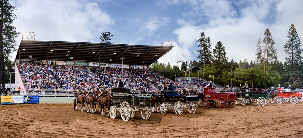 Draft Horse Classic at the Nevada County Fairgrounds |Lenkaland Photography