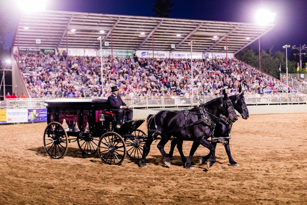 Draft Horse Classic at the Nevada County Fairgrounds |Lenkaland Photography