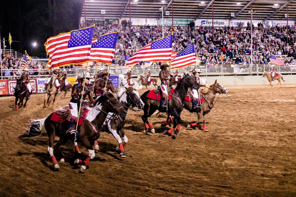 Draft Horse Classic at the Nevada County Fairgrounds |Lenkaland Photography