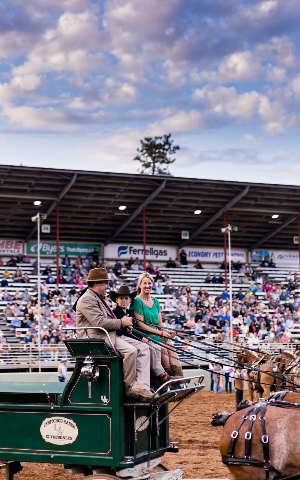 Draft Horse Classic at the Nevada County Fairgrounds |Lenkaland Photography