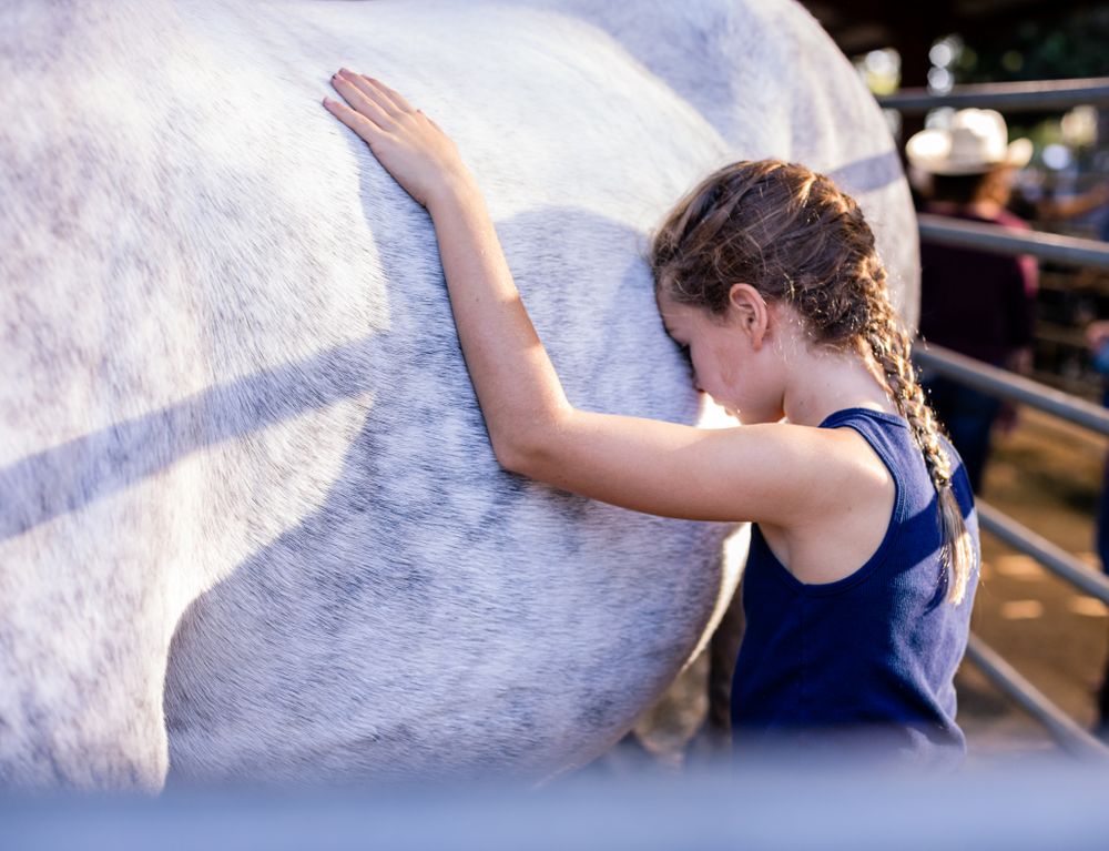Draft Horse Classic at the Nevada County Fairgrounds |Lenkaland Photography