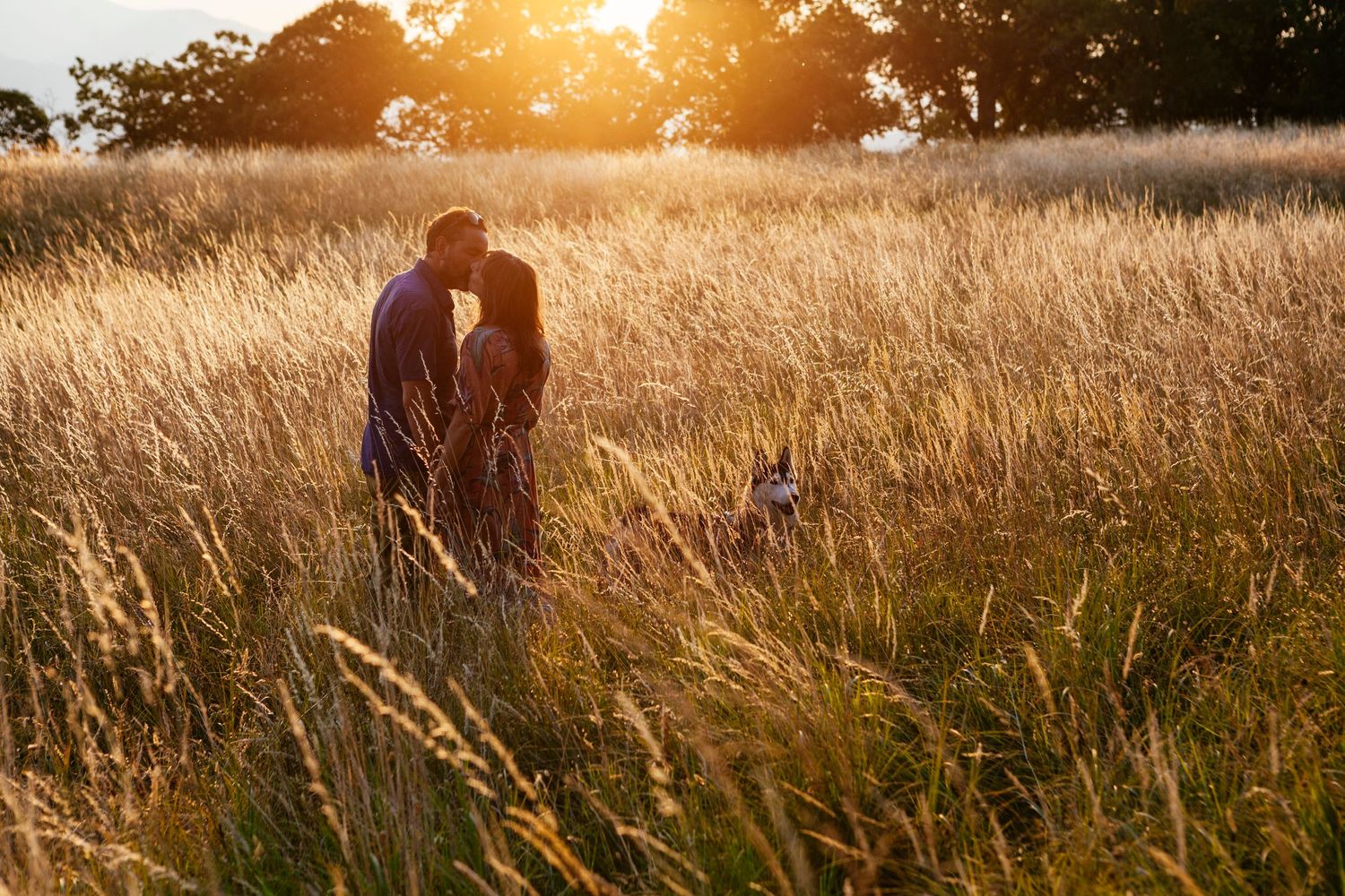 a kiss in the golden light at sunset in Italy by Tuscany based wedding photographer Elizabeth Armitage