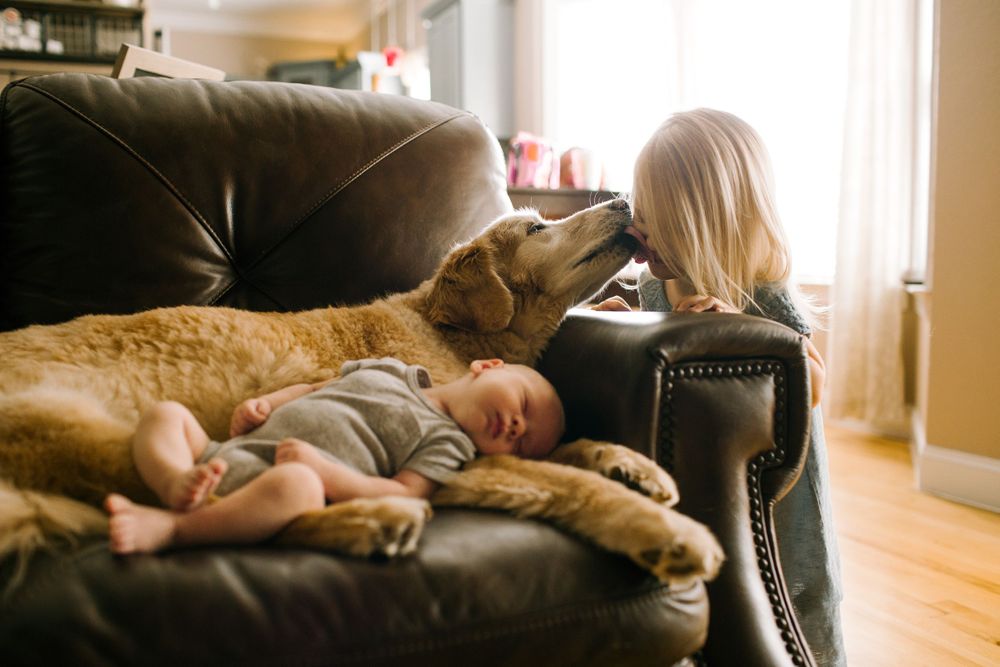chattanooga family photographer