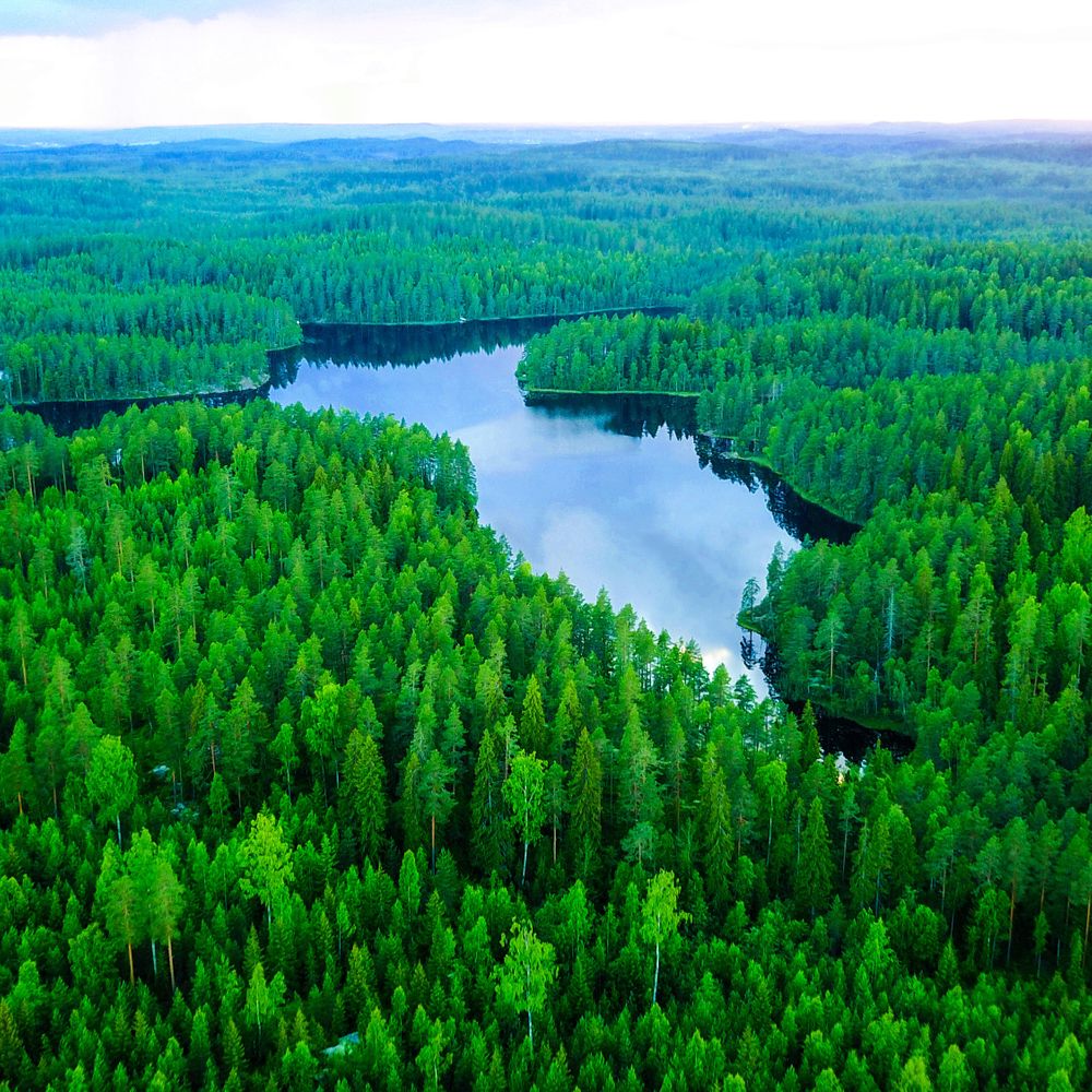 Mavic Pro Kuva_ Orivesi