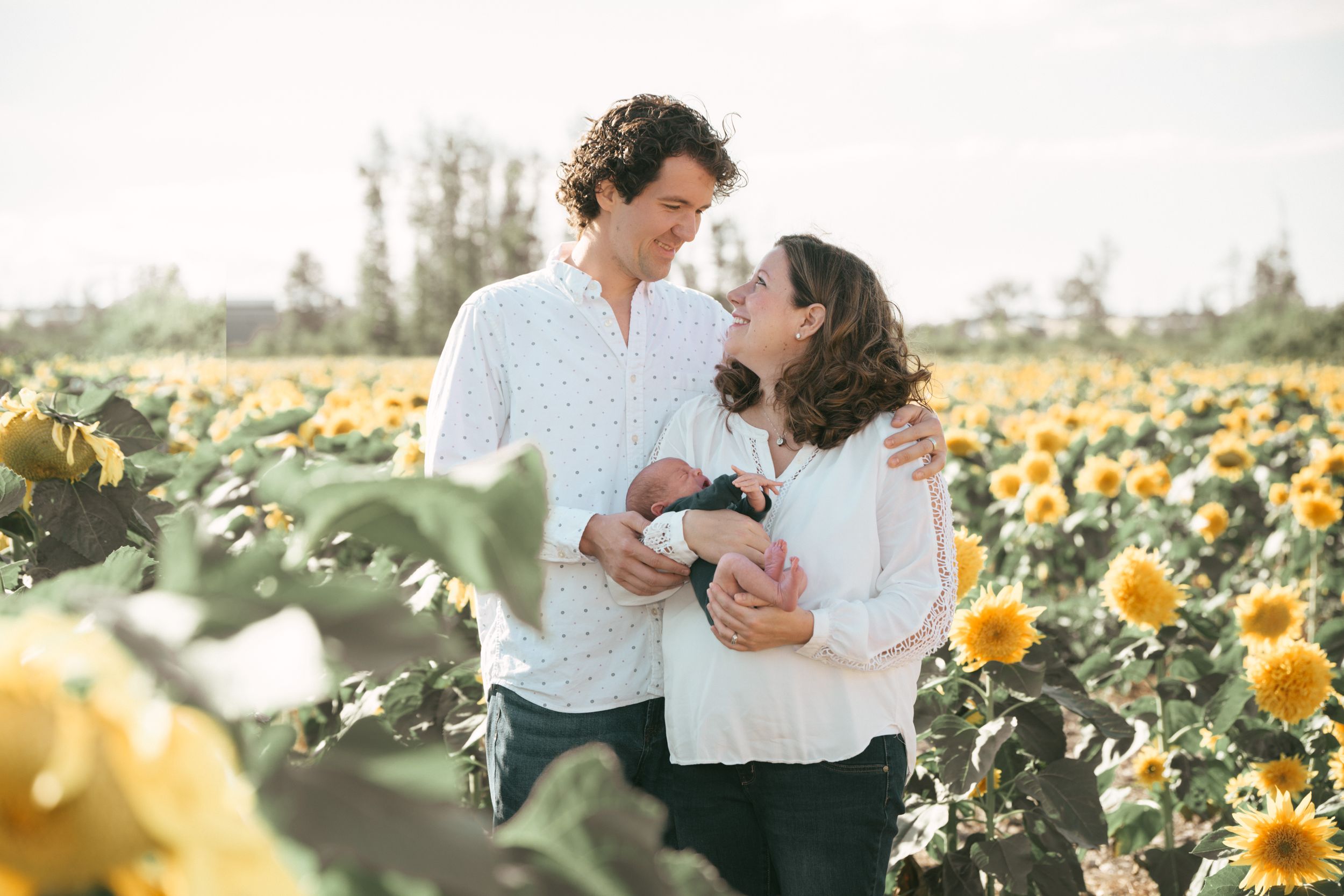 family with newborn in sunflower field, Maria's Field of Hope, Avon Lake, Ohio