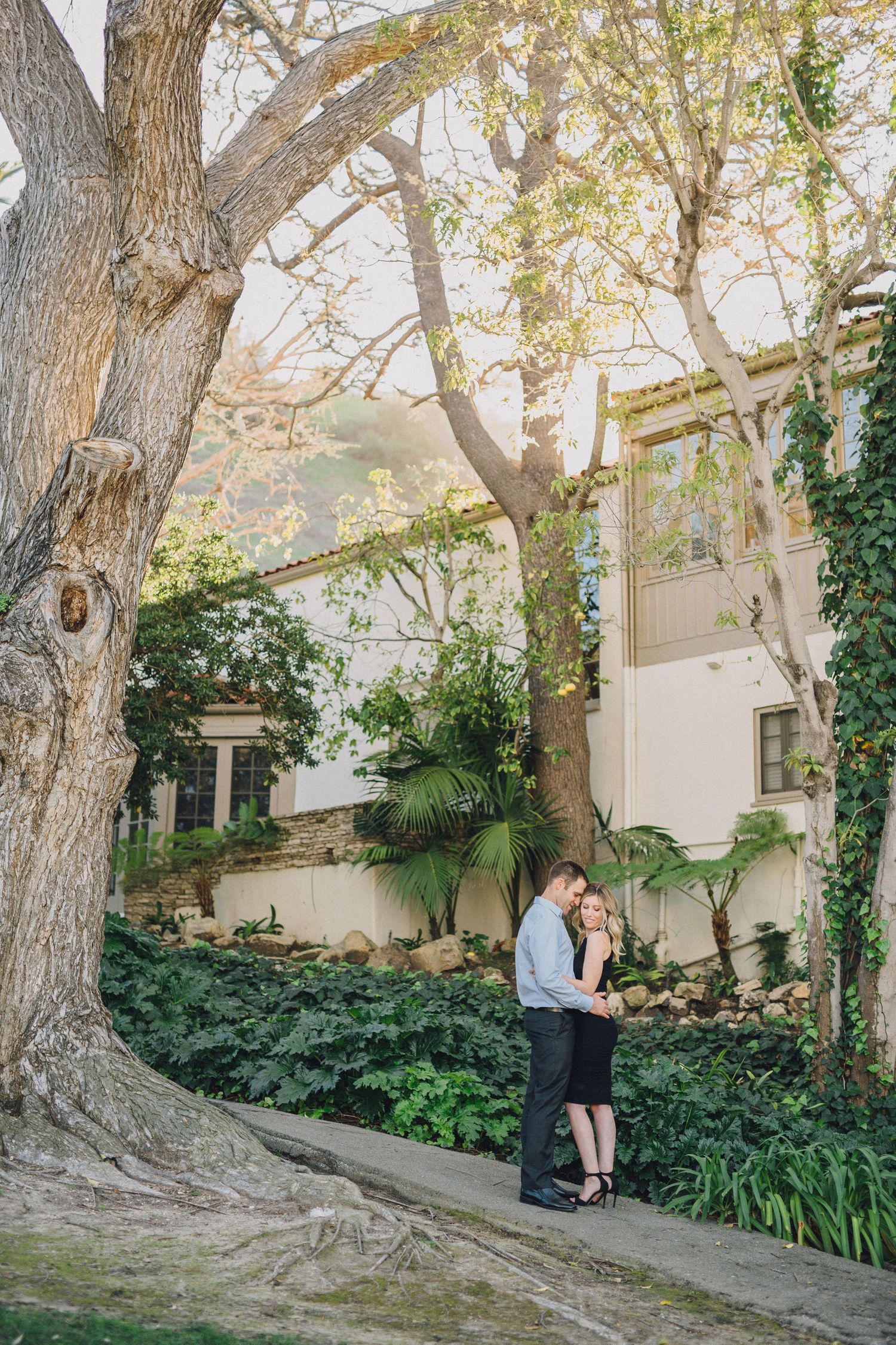 oak tree engagement photo