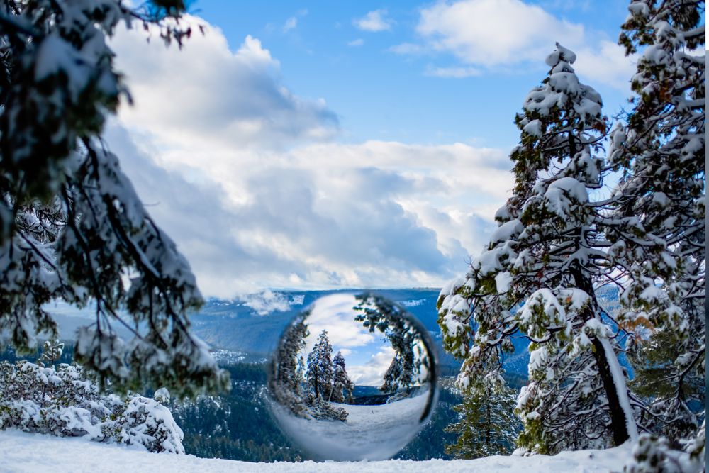 Lenkaland Photography Favorites of 2019