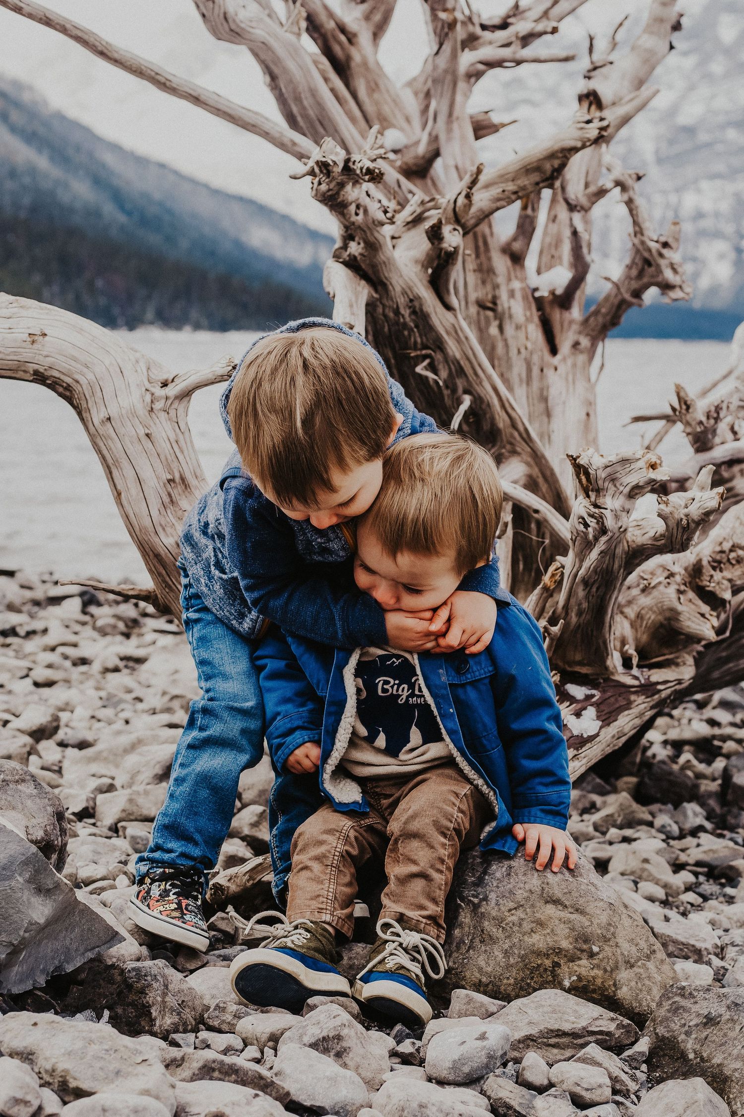big brother hugs little brother in front of driftwood