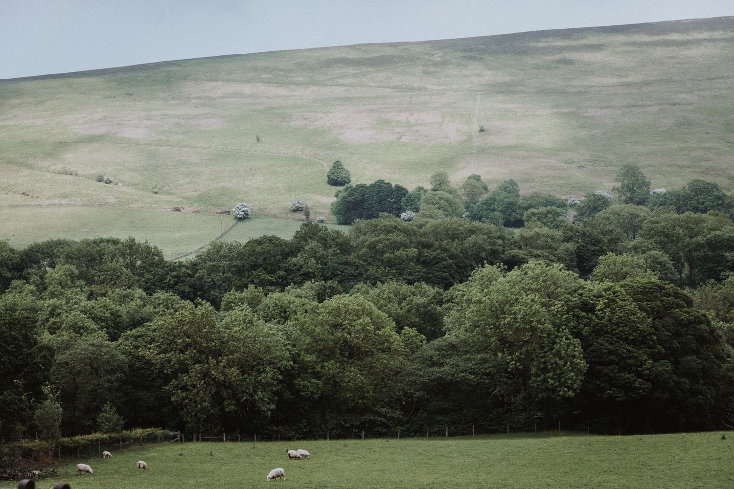 Losehill House Hotel Wedding