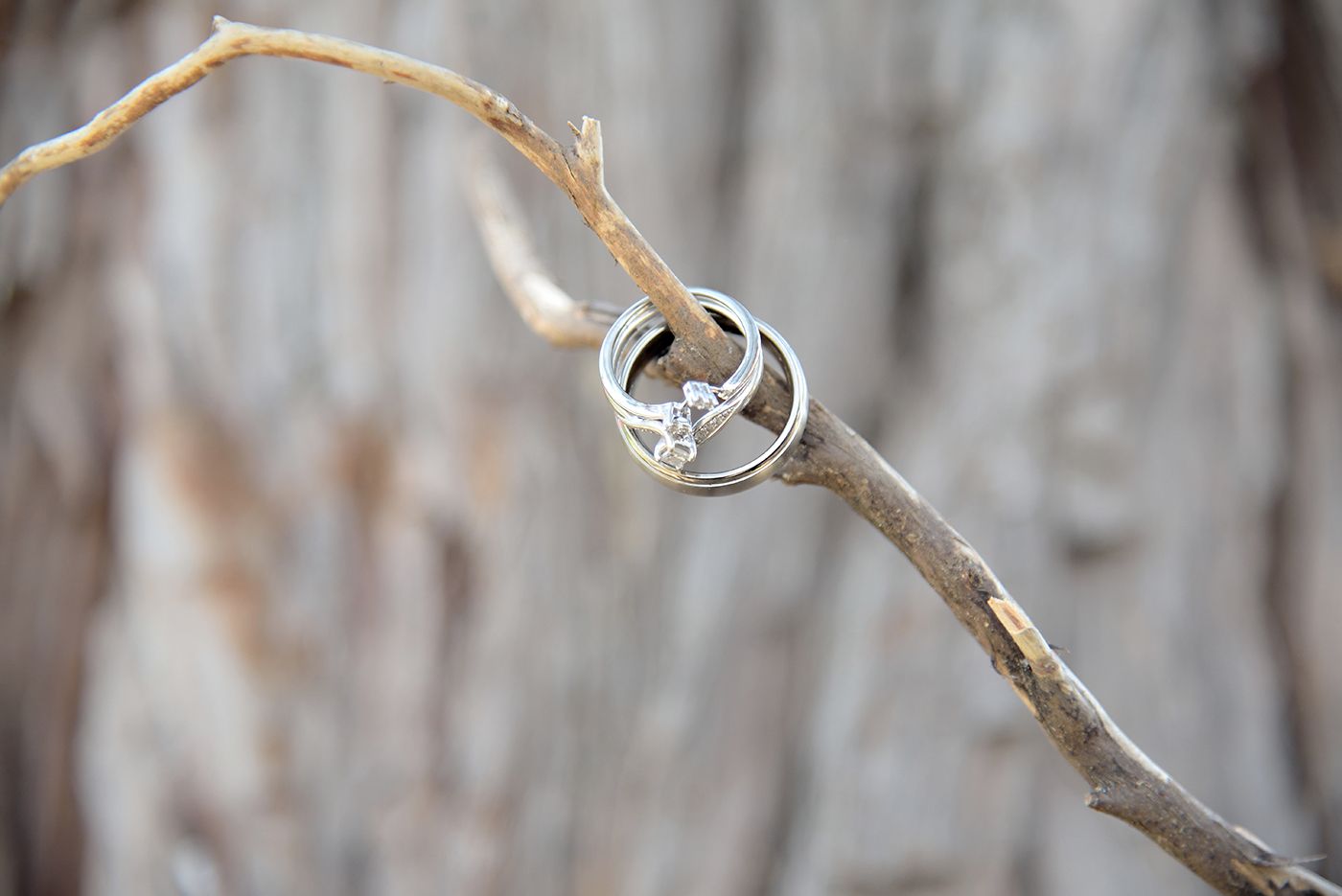 bass lake California destination wedding rings