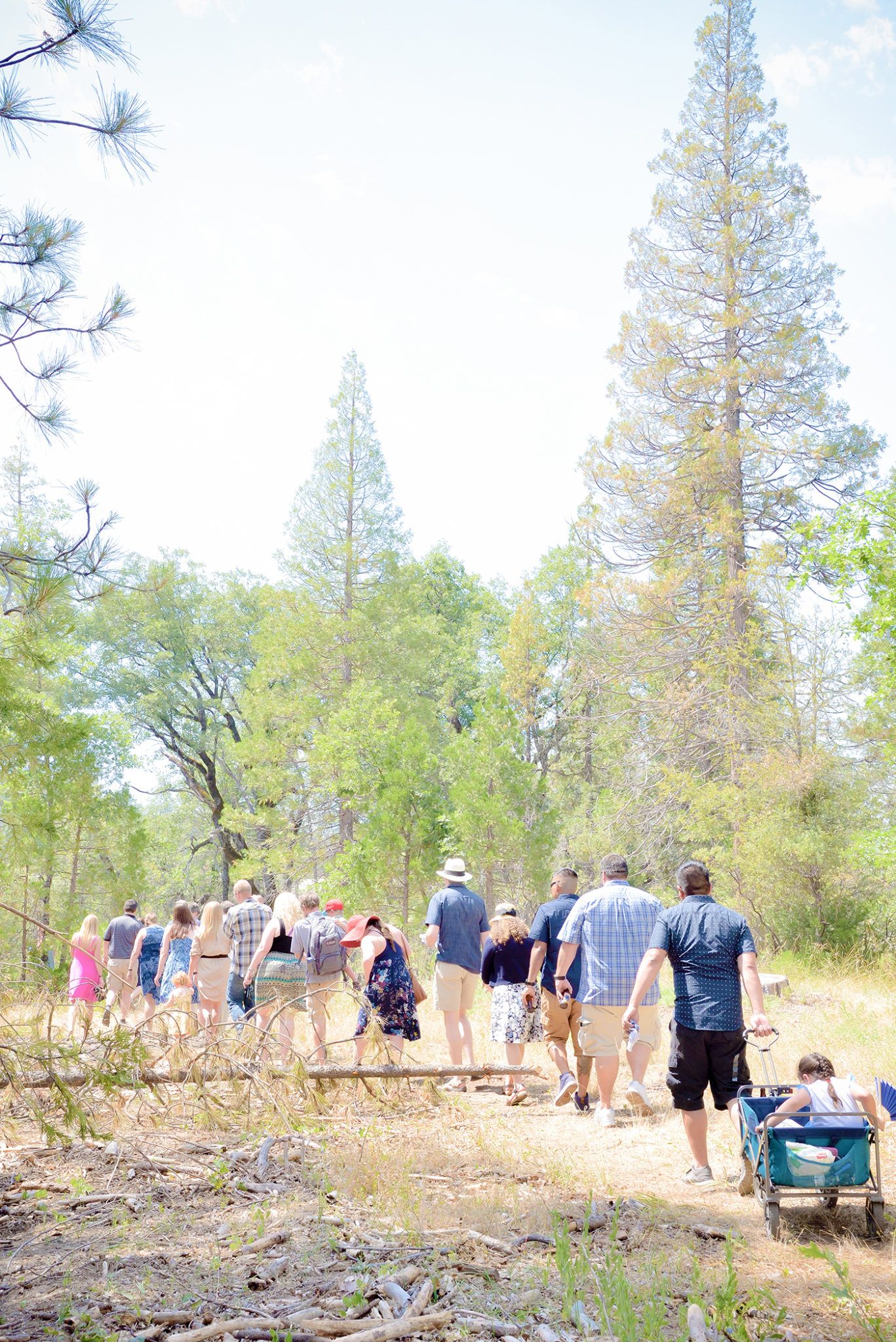 bass lake California destination wedding ceremony