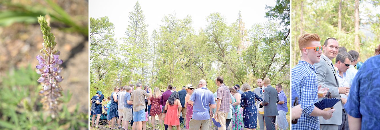bass lake California destination wedding ceremony