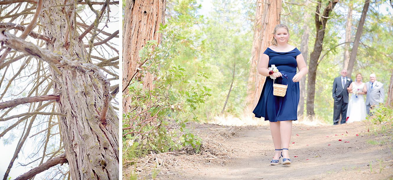 bass lake California destination wedding ceremony