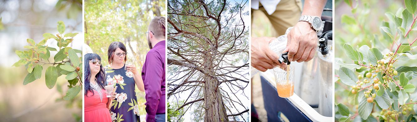 bass lake California destination wedding ceremony