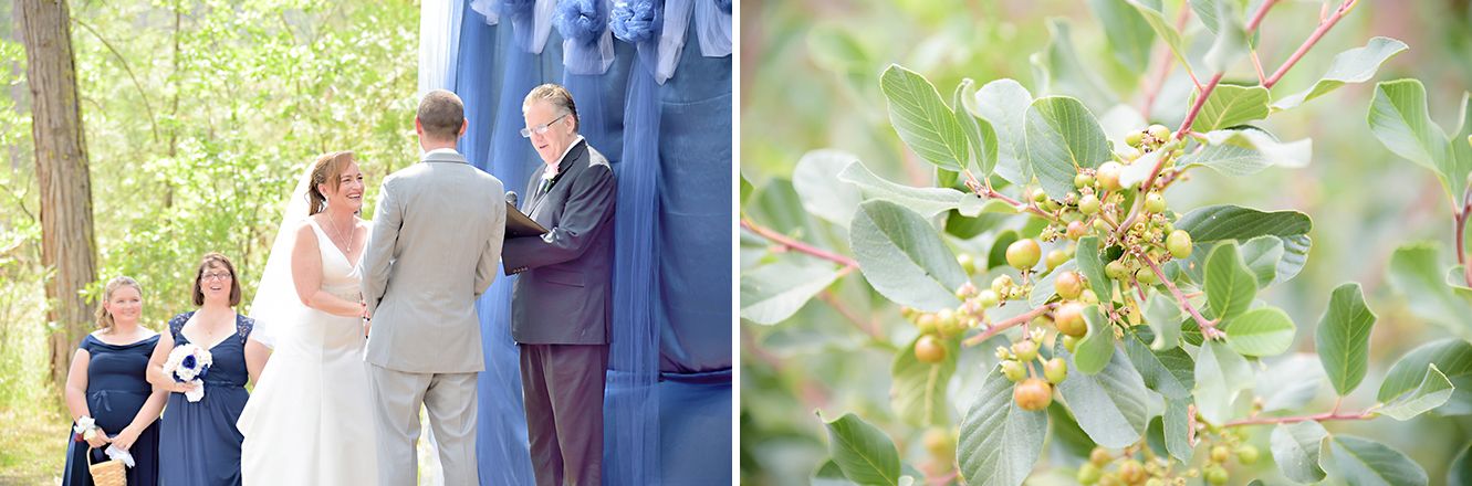 bass lake California destination wedding ceremony