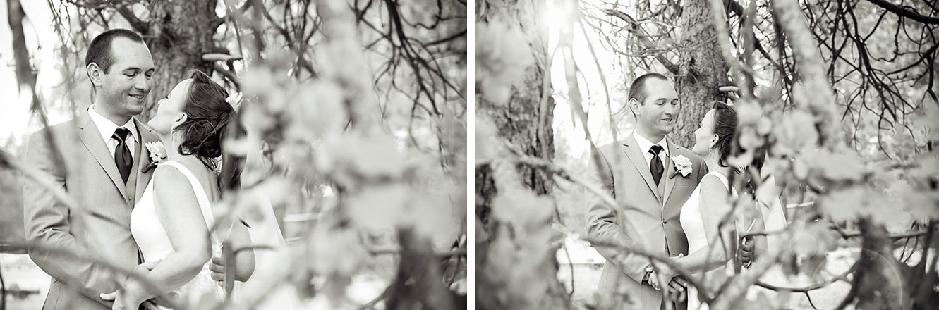 bass lake California destination wedding