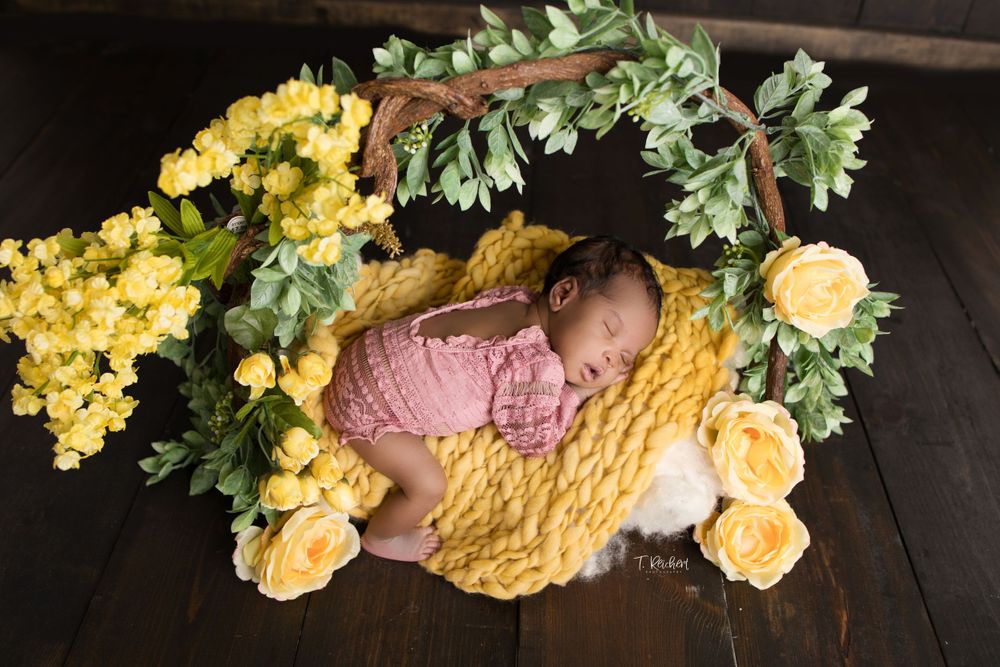jacksonville fl newborn best photographer