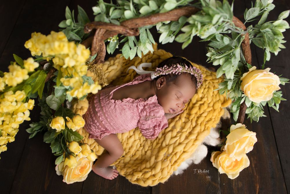 jaiden photogrpahy jacksonville fl newborn best photographer