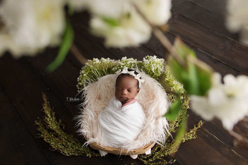 jacksonville fl newborn best photographer