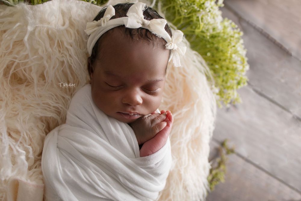 jacksonville fl newborn best photographer