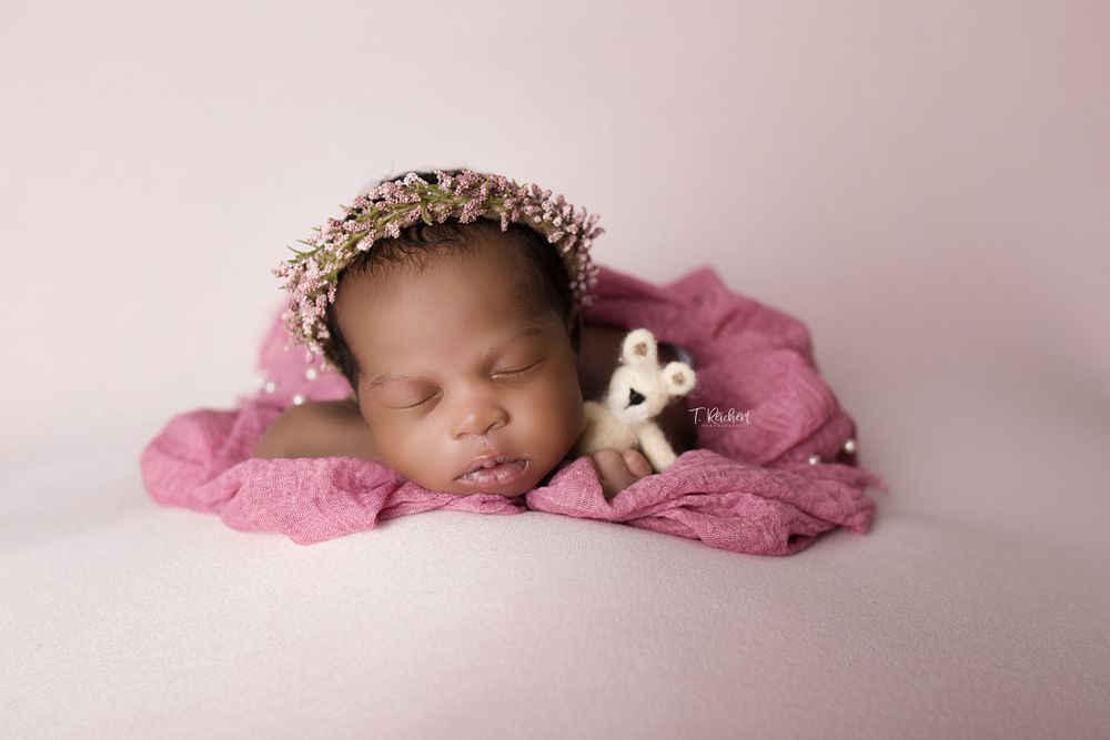 808 photography jacksonville fl newborn best photographer