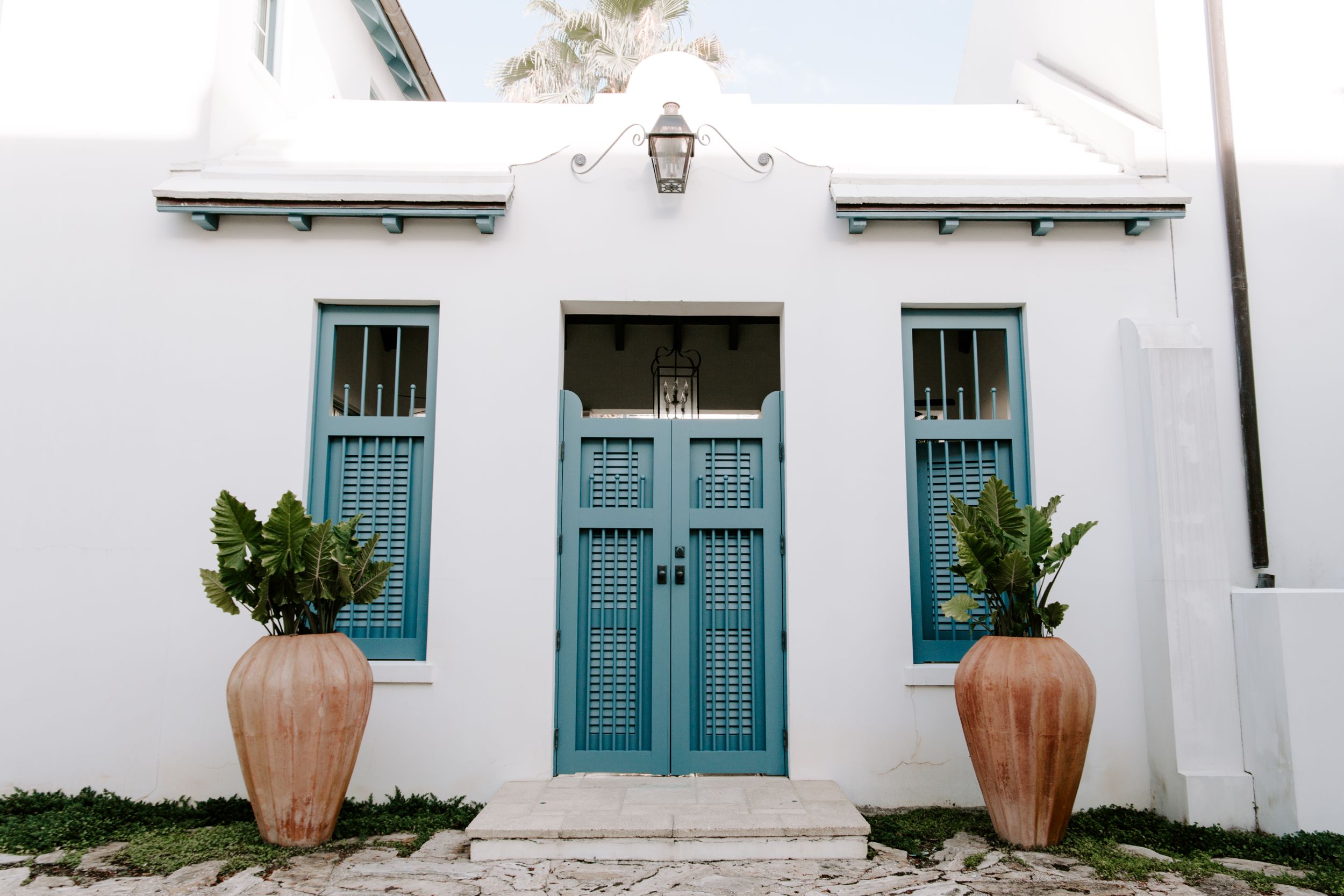 blue door on a white building with two plants