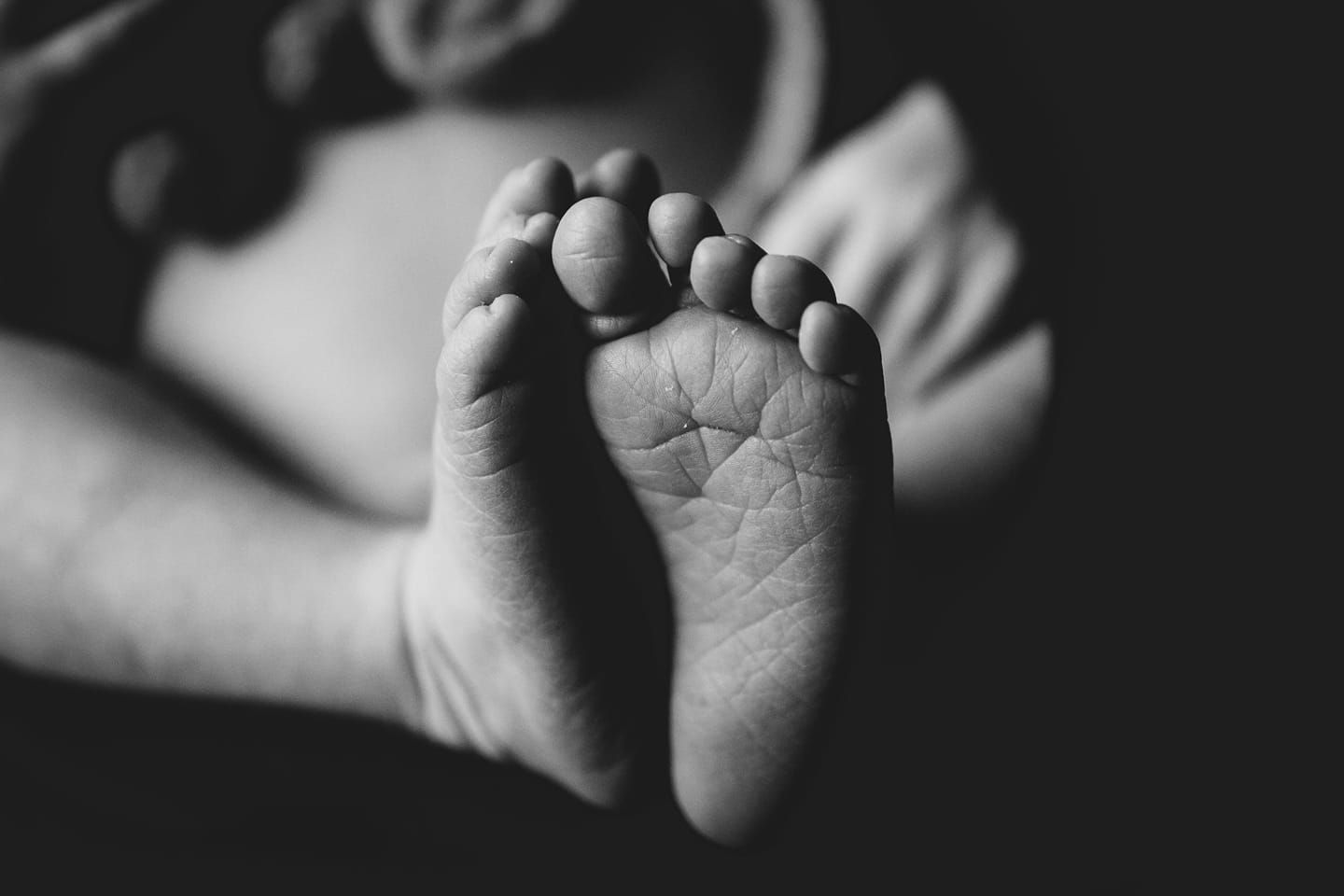 Raleigh, NC newborn Photographer