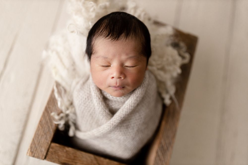Newborn Photographer