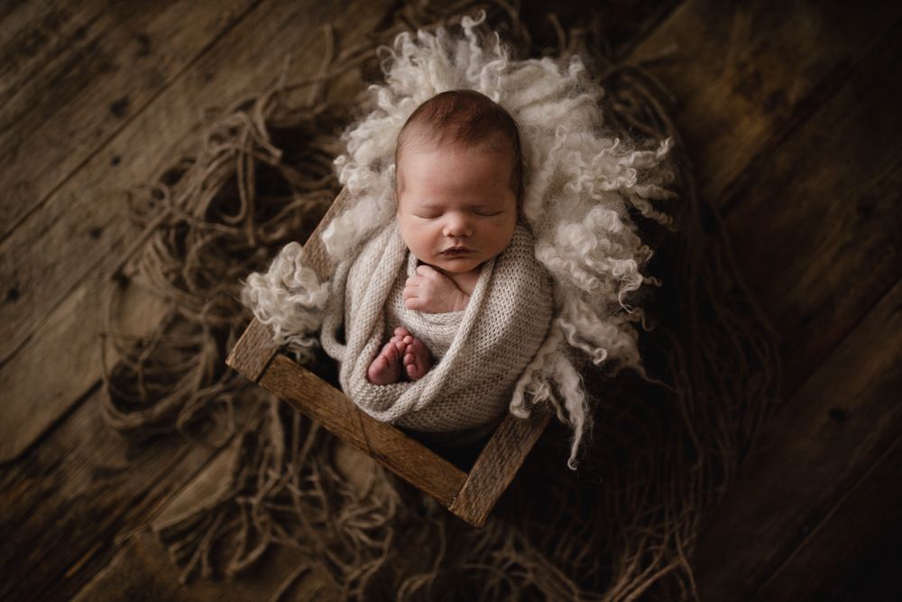 Calgary Newborn