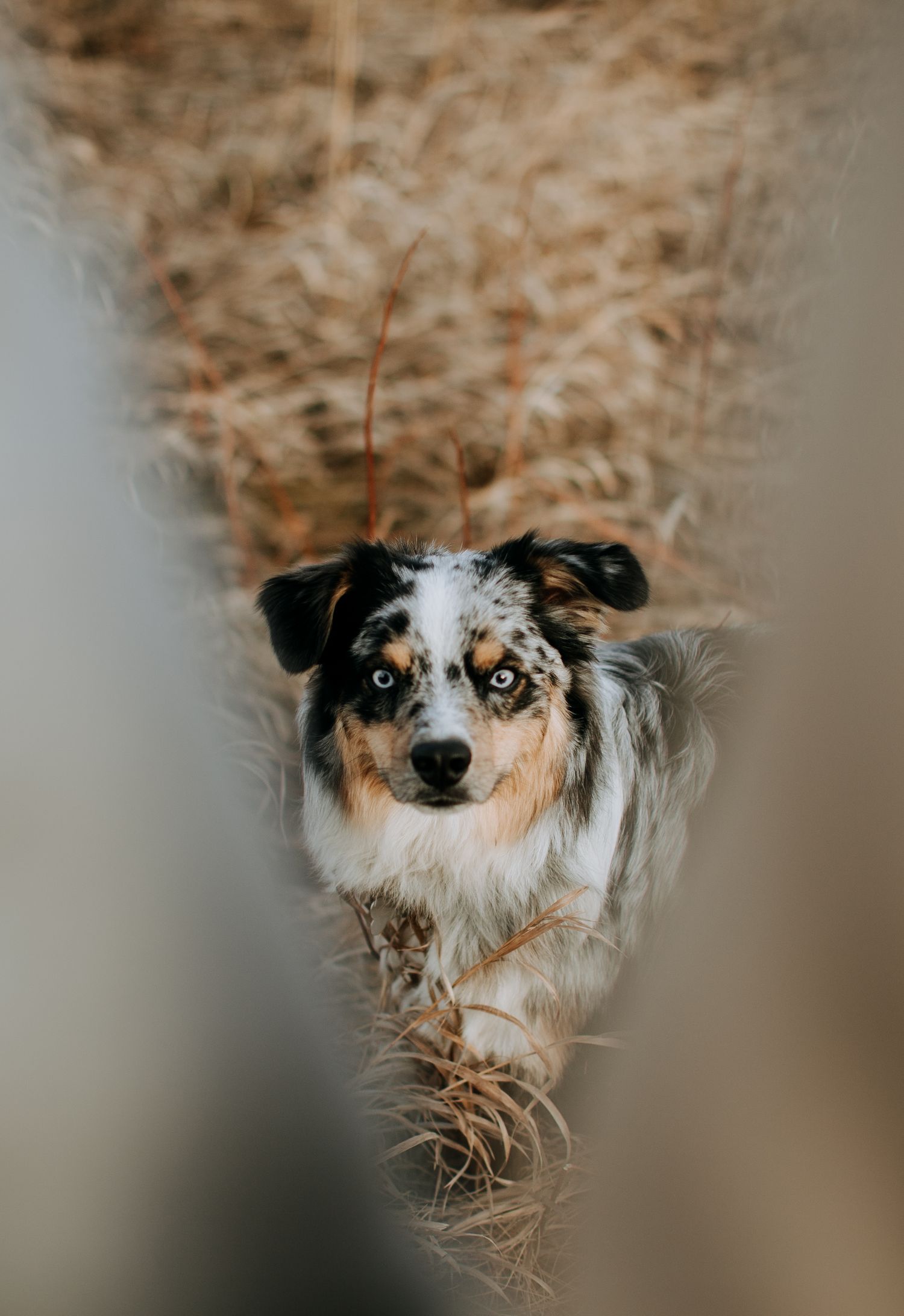 Calgary Photographer