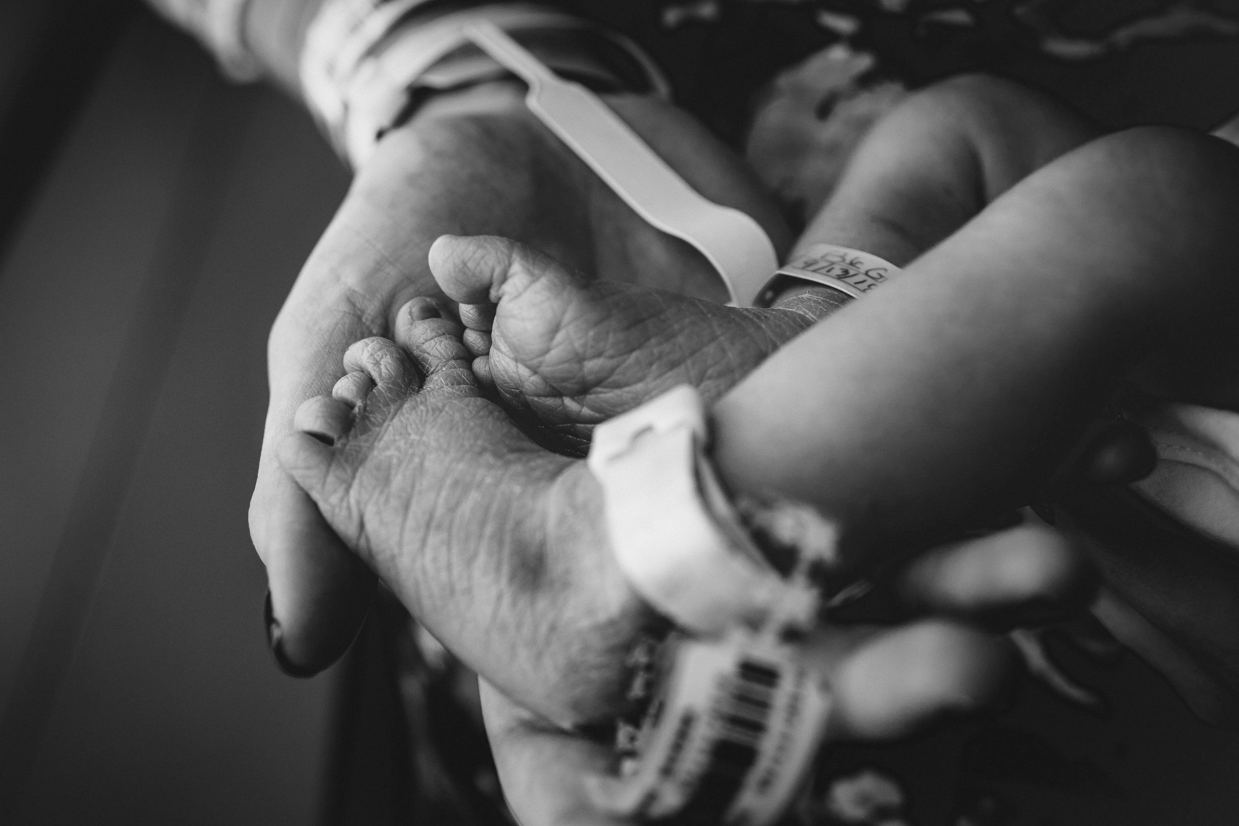Raeligh NC newborn Photographer