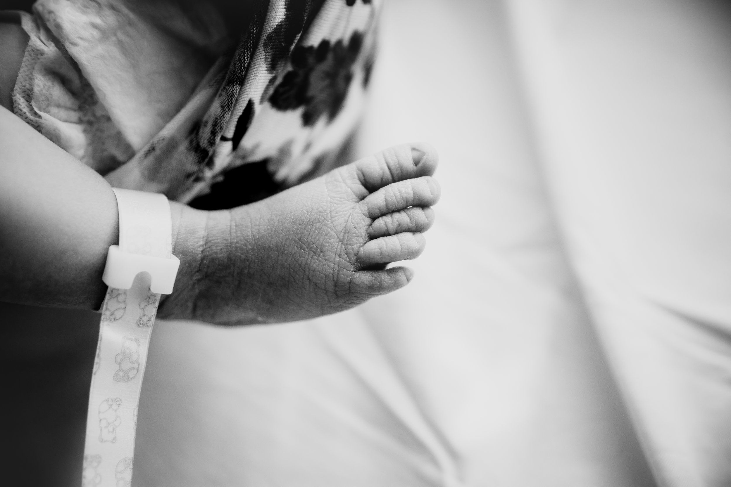 Wake Forest newborn Photographer
