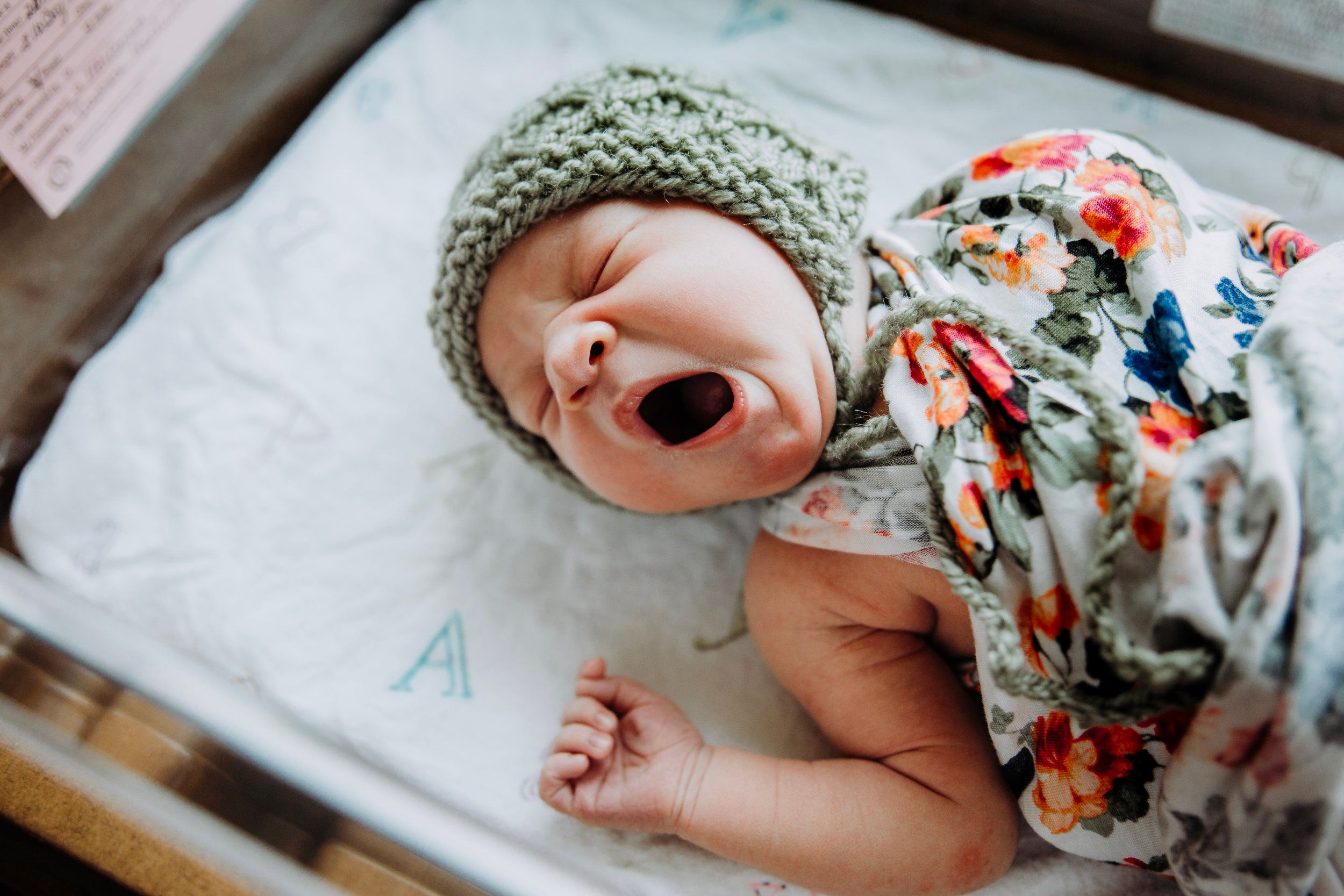 Wake Forest newborn Photographer