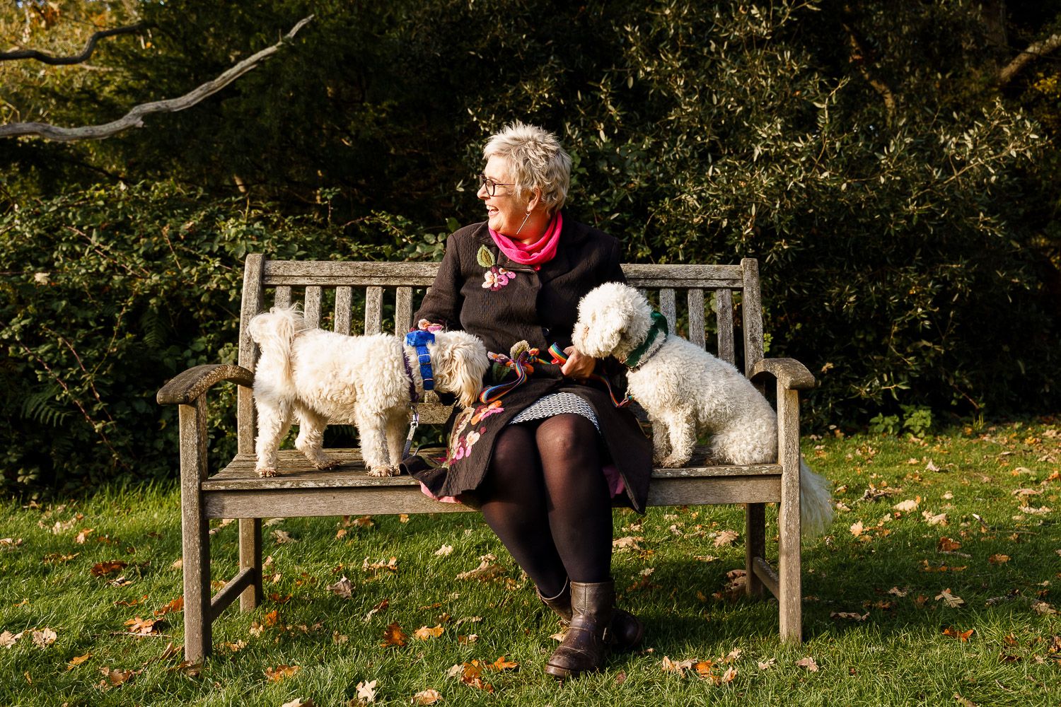 Woman sits on a bench in the sun with her two dogs wearing bow ties at a wedding. Top 10 dog-friendly wedding tips.