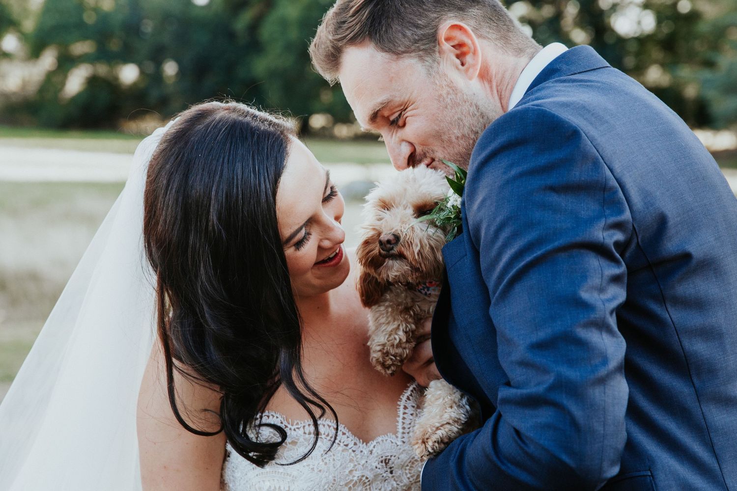 st tewdrics house wedding