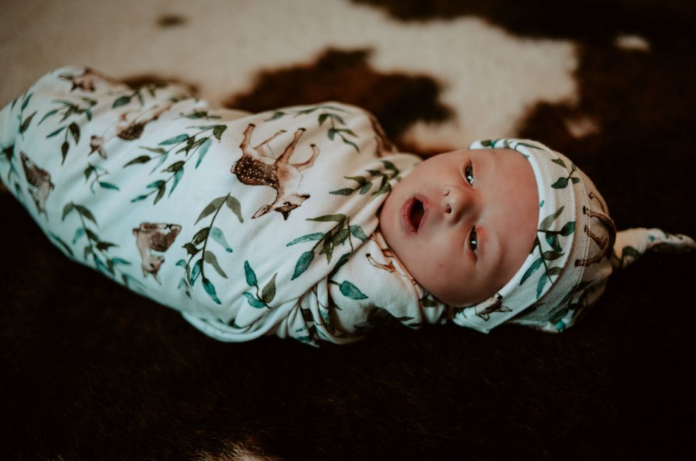 fresh 48 newborn photographer in fort collins colorado, lifestyle newborn photographer in fort collins, newborn photos
