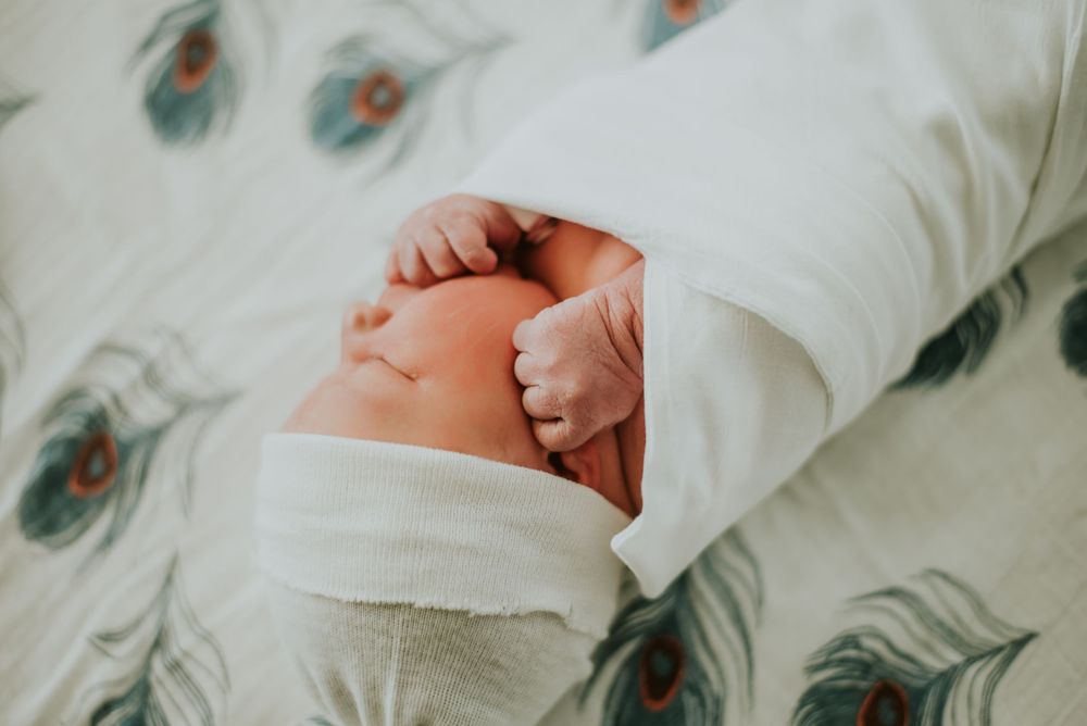 fresh 48 newborn photographer in fort collins colorado, lifestyle newborn photographer in fort collins, newborn photos