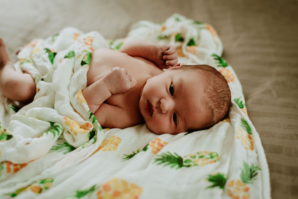 fresh 48 newborn photographer in fort collins colorado, lifestyle newborn photographer in fort collins, newborn photos
