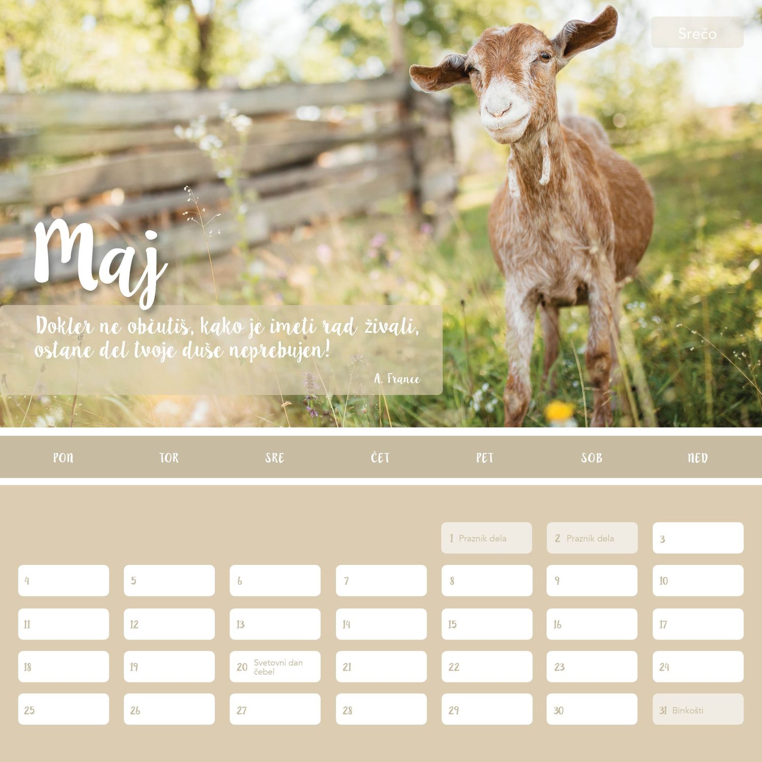 Calendar Design and photoshooting for animals