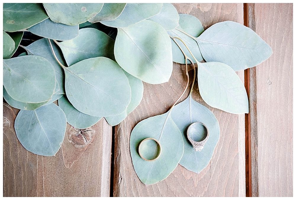 Visalia Central Valley California Koetsier ranch wedding rings
