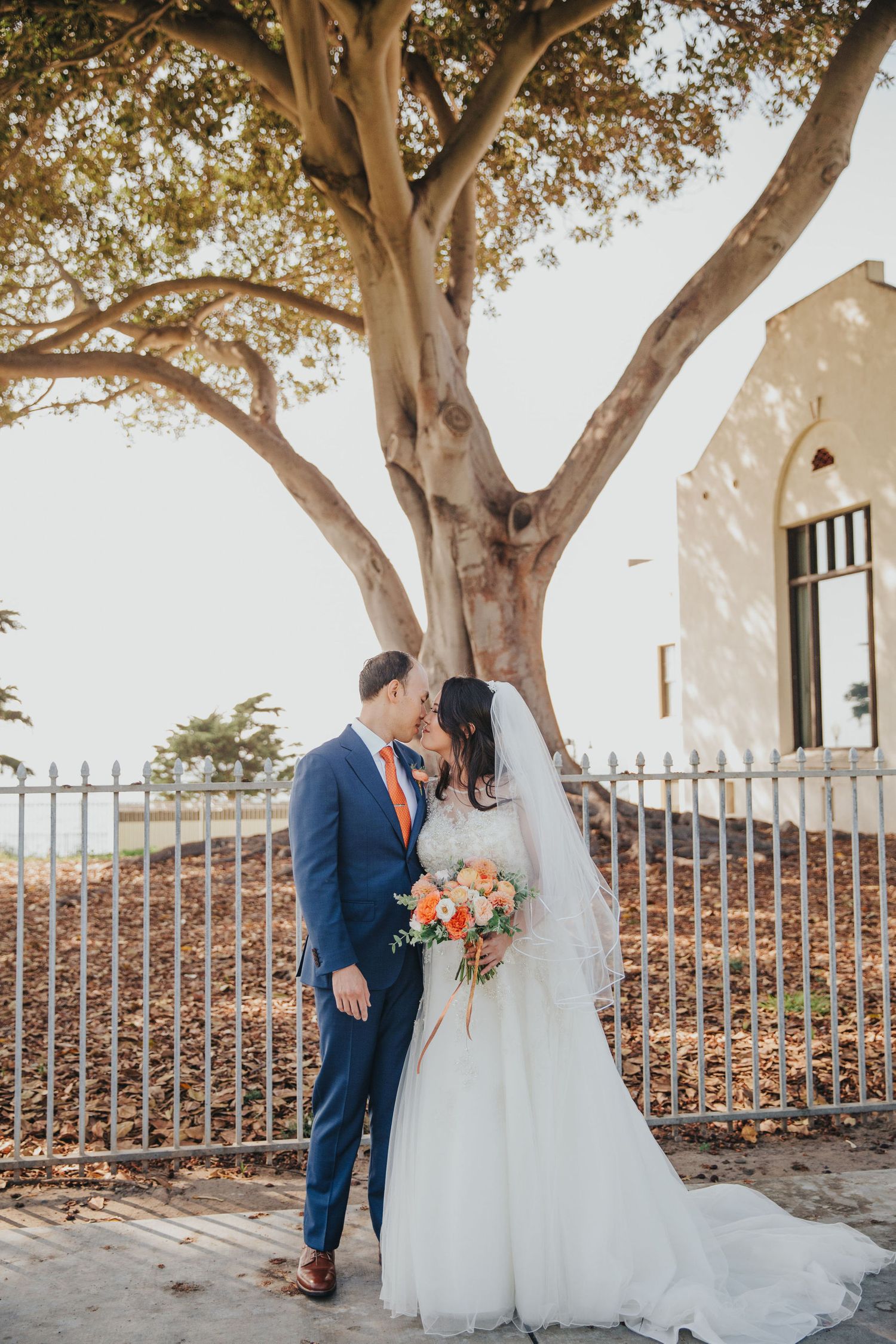 bride & groom kissing in front of oak tree redondo beach historic library
