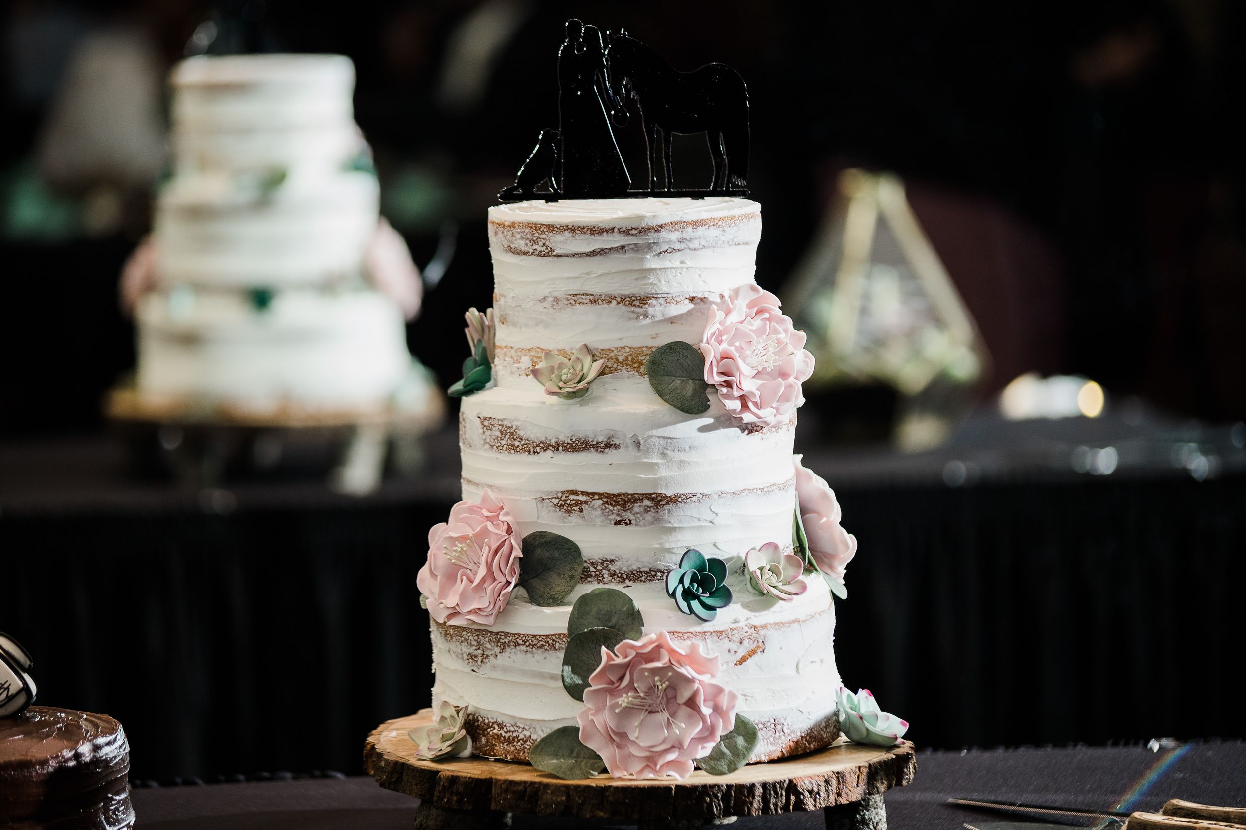 Naked wedding cake with succulents and cactus flowers by Hudson Valley wedding photographer