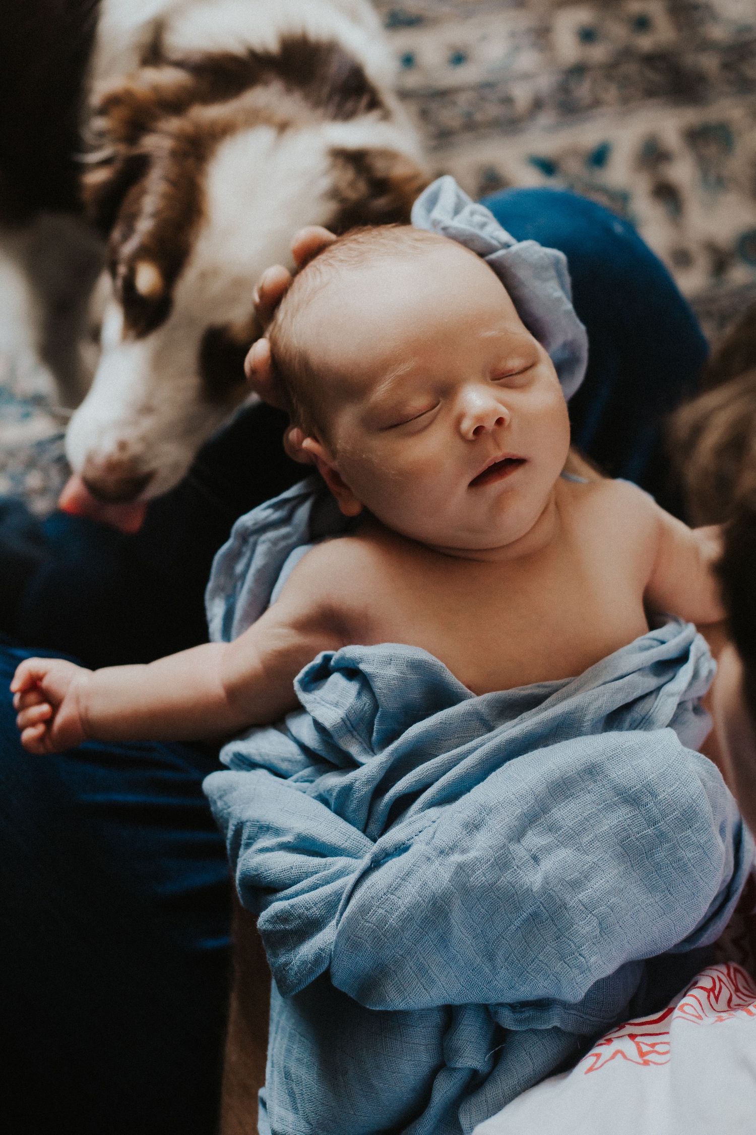 baby boy sleeps while dog looks