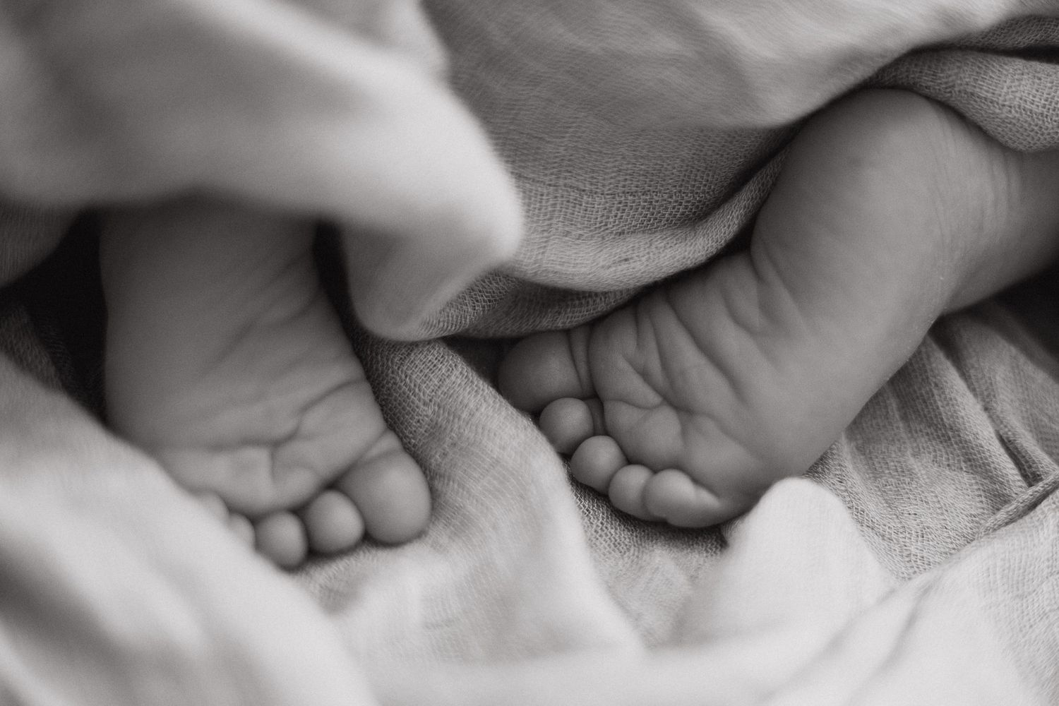 black and white photo of baby boy's toes
