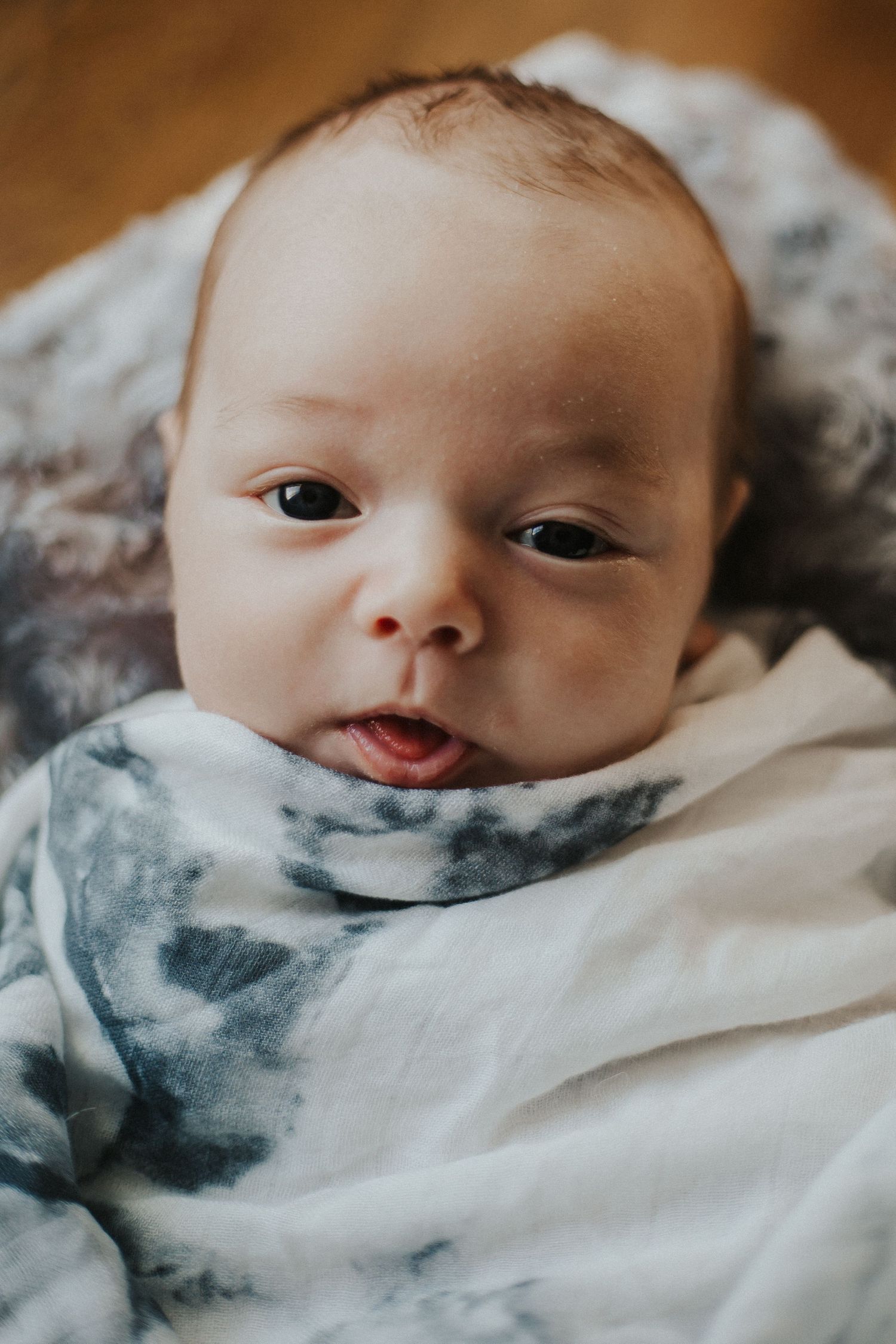 baby boy wrapped in swaddle looks at camera
