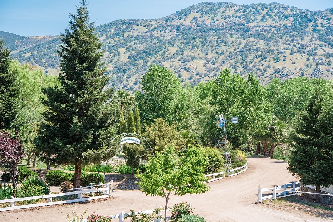 Springville Central Valley california barn wedding